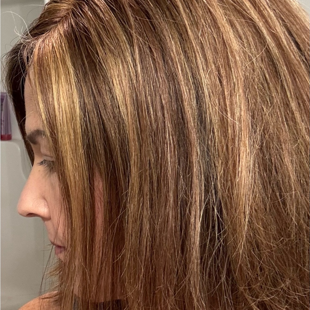 Lauren Ashtyn Luxurious Brown With Highlights Human Hair Topper - worn 3 times